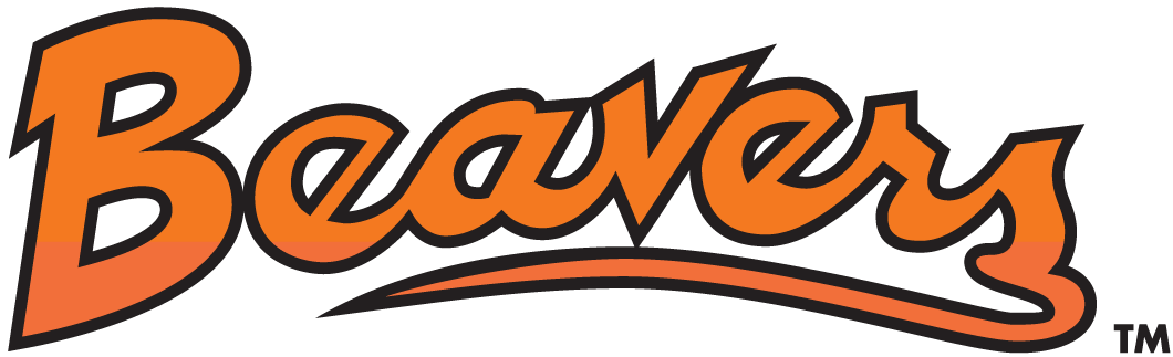 Oregon State Beavers 1979-1996 Wordmark Logo t shirts iron on transfers